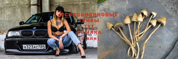 ECSTASY Абдулино