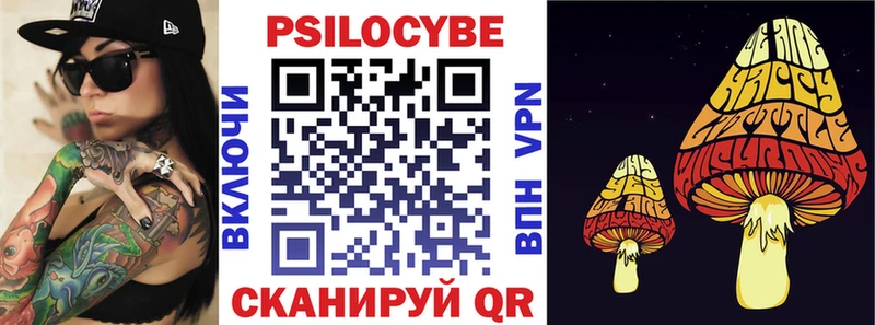 где купить наркоту  Тихорецк  Галлюциногенные грибы Psilocybe 